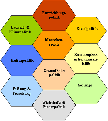 Politikfelder von NGOs